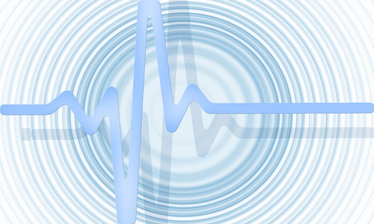 Pulse Check – A Practice Around Priorities, Energy, and Purpose