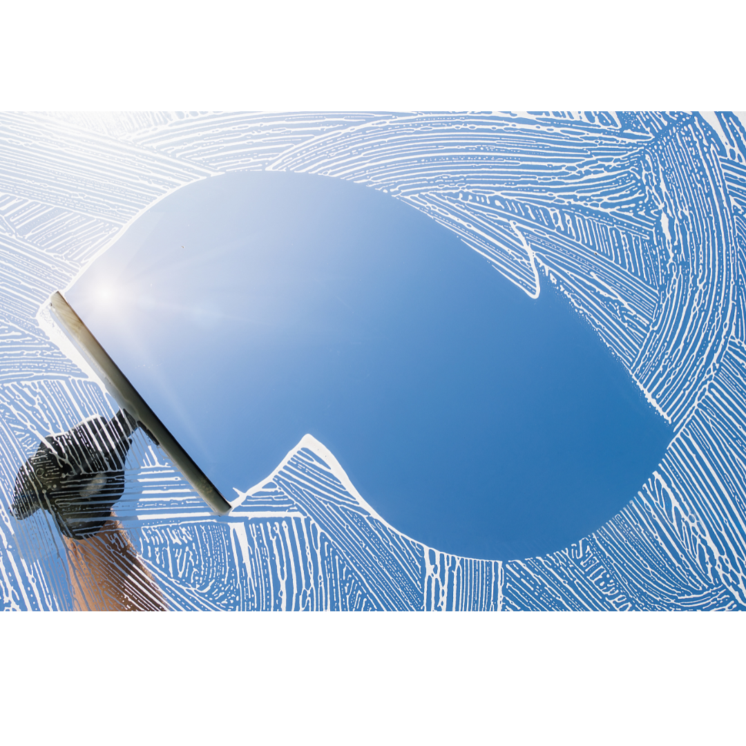 Wanted: Window Washer
