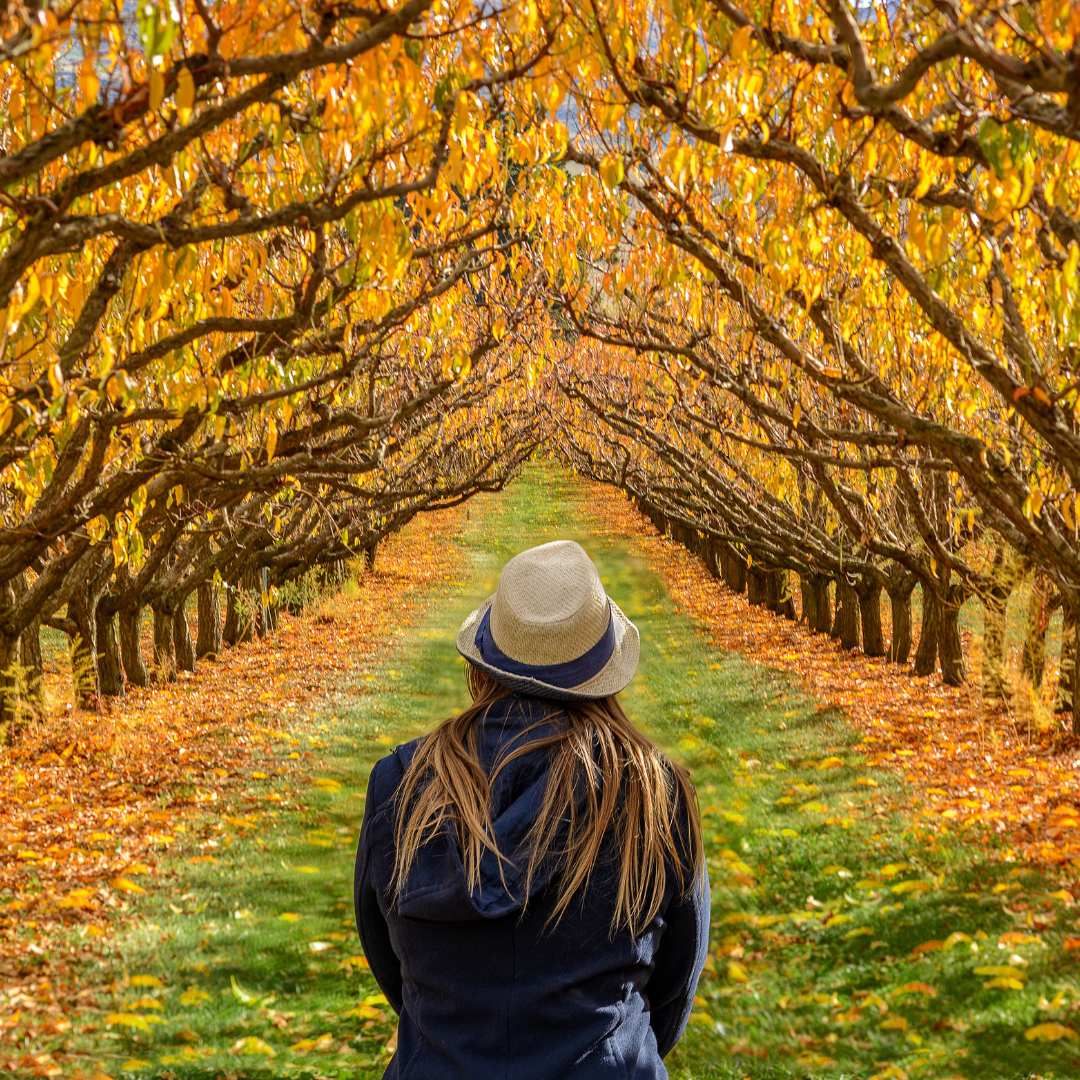 CHANGE: When Leaves Fall